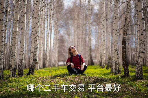 哪個二手車交易 平臺最好