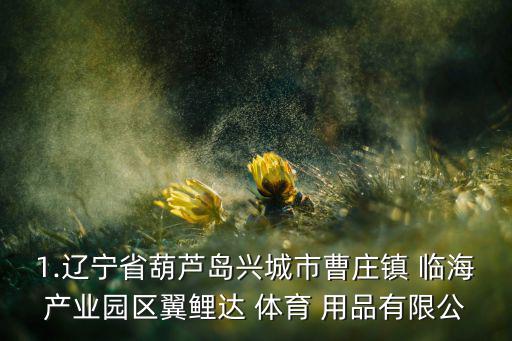 1.遼寧省葫蘆島興城市曹莊鎮(zhèn) 臨海產(chǎn)業(yè)園區(qū)翼鯉達(dá) 體育 用品有限公