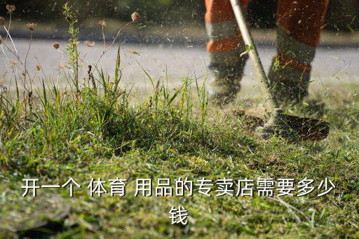 開(kāi)一個(gè) 體育 用品的專賣店需要多少錢