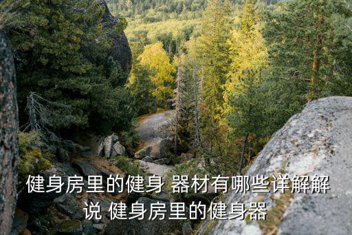 健身房器材介紹及使用說(shuō)明,雙向胸推訓(xùn)練器在健身房很受歡迎
