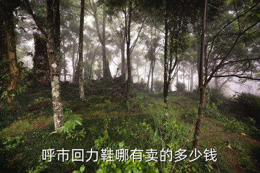 呼市回力鞋哪有賣的多少錢