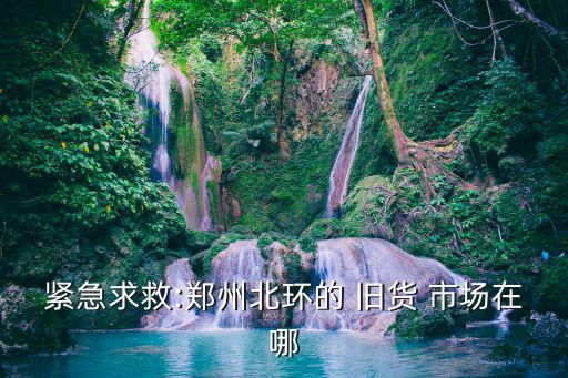 緊急求救:鄭州北環(huán)的 舊貨 市場(chǎng)在哪