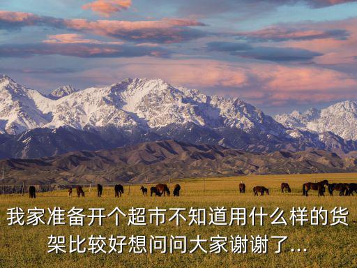 我家準(zhǔn)備開個超市不知道用什么樣的貨架比較好想問問大家謝謝了...