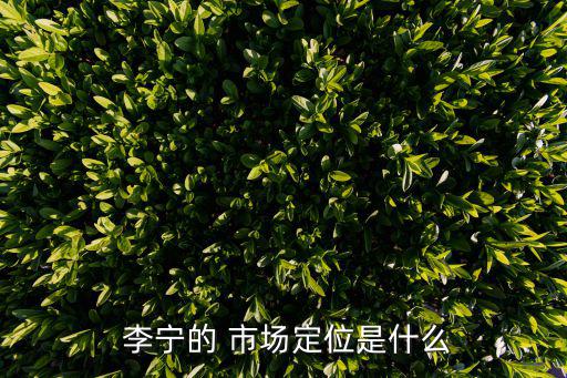 李寧市場營銷環(huán)境分析,市場營銷環(huán)境分析主要包括哪些內(nèi)容