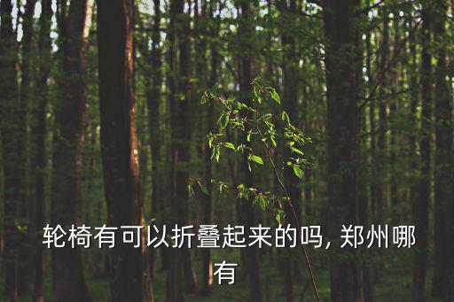 鄭州醫(yī)療器械輪椅批發(fā),醫(yī)院附近有很多醫(yī)療器械但價格稍微便宜