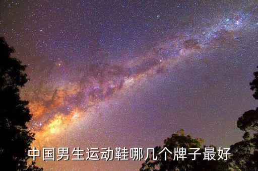 男士休閑品牌鞋十大排名,最好的運動鞋牌子排名榜
