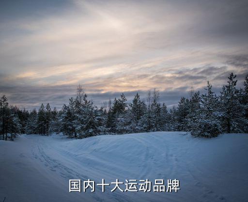 中學生體育用品有哪些品牌,國內(nèi)運動品牌的體育用品有哪些
