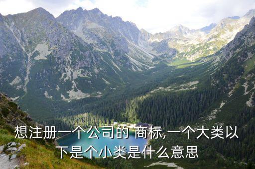 想注冊一個公司的 商標(biāo),一個大類以下是個小類是什么意思