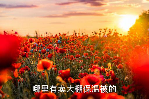 寒亭哪里有賣體育用品,寒亭體育用品超市