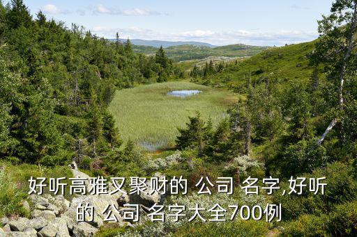 好聽高雅又聚財(cái)?shù)?公司 名字,好聽的 公司 名字大全700例