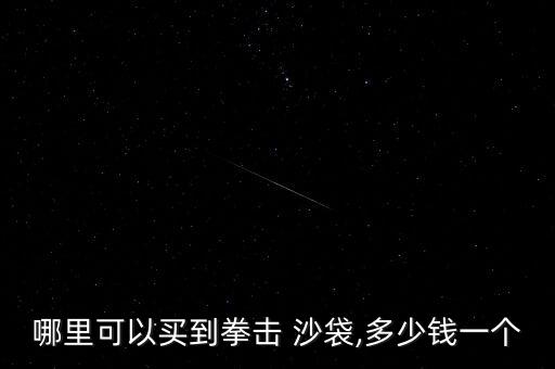 哪里可以買到拳擊 沙袋,多少錢一個