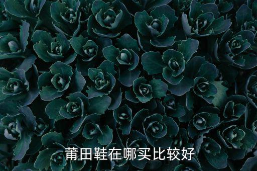  莆田鞋在哪買比較好