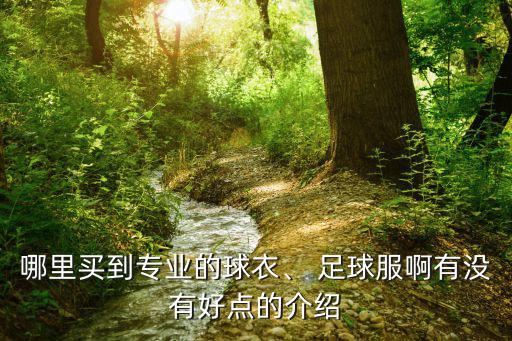 哪里買到專業(yè)的球衣、 足球服啊有沒有好點的介紹