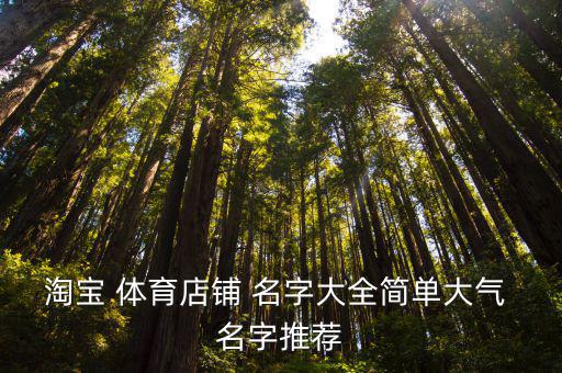 淘寶 體育店鋪 名字大全簡單大氣 名字推薦