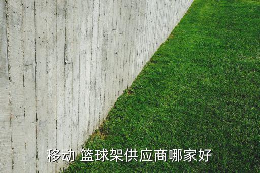 寧波籃球架生產(chǎn)廠家,籃球架專業(yè)生產(chǎn)廠家