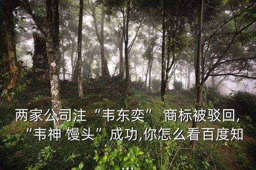 饅頭的商標(biāo)名字,饅頭商標(biāo)屬于多少類(lèi)
