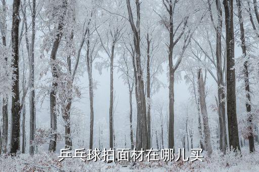 乒乓球拍進(jìn)貨渠道,如何買正宗乒乓球面?記得先看這里!