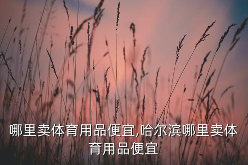 瀏陽哪里賣體育用品便宜,哈爾濱哪里賣體育用品便宜