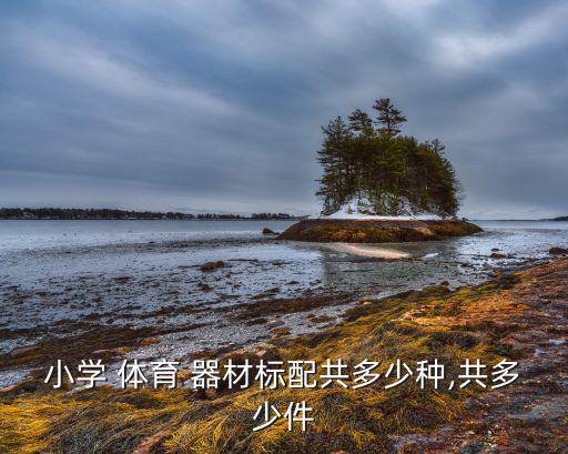 高中學校體育器材清單,運動會體育器材清單