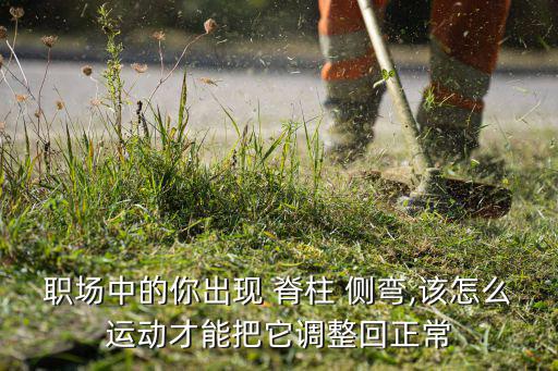 脊柱側(cè)彎適合什么體育用品,輕度脊柱側(cè)彎適合什么運動