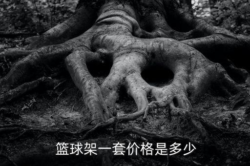 普通籃球架價(jià)格,移動(dòng)式籃球架價(jià)格多少錢