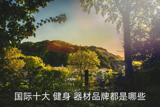 國際十大 健身 器材品牌都是哪些