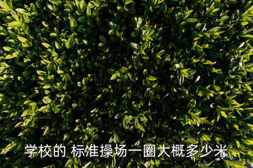 學校的 標準操場一圈大概多少米