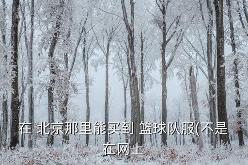 在 北京那里能買到 籃球隊(duì)服(不是在網(wǎng)上