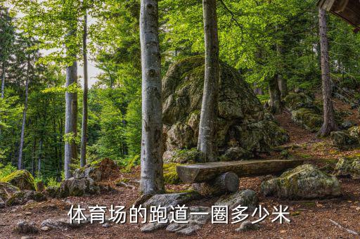 田徑運動場圖片,標準田徑運動場面積