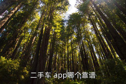 二手車 app哪個靠譜