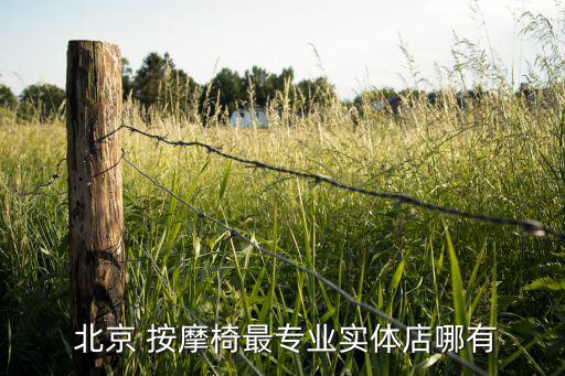  北京 按摩椅最專業(yè)實(shí)體店哪有