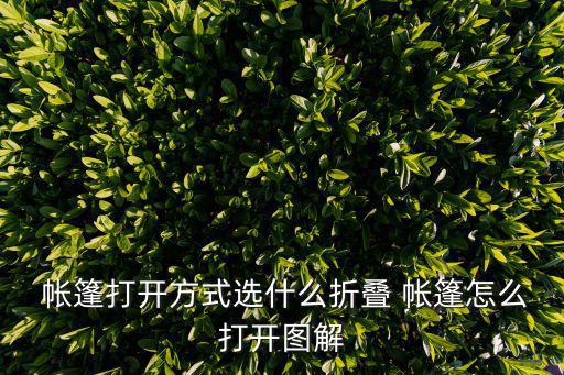 活動帳篷布置圖片,部隊帳篷文化布置圖片