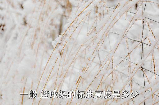 一般 籃球架的標準高度是多少