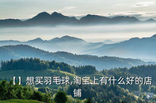 【】想買(mǎi)羽毛球,淘寶上有什么好的店鋪