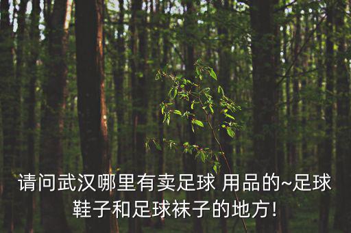 請問武漢哪里有賣足球 用品的~足球鞋子和足球襪子的地方!