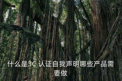 體育用品需要什么認(rèn)證嗎,文化體育用品包括什么