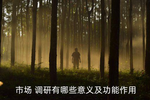 市場調(diào)研分析,火鍋市場調(diào)研分析