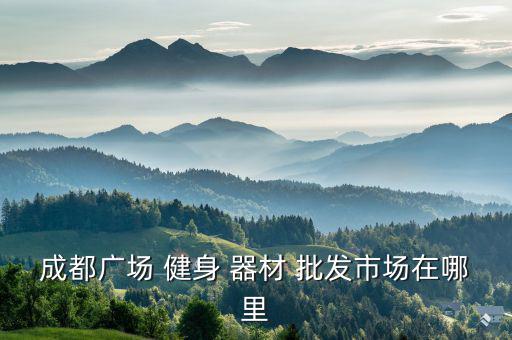 廣東健身器材批發(fā)市場(chǎng)在哪里進(jìn)貨,廣東批發(fā)市場(chǎng)女裝進(jìn)貨在哪里