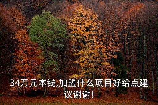 34萬元本錢,加盟什么項目好給點建議謝謝!