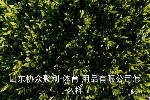 山東協眾聚利 體育 用品有限公司怎么樣