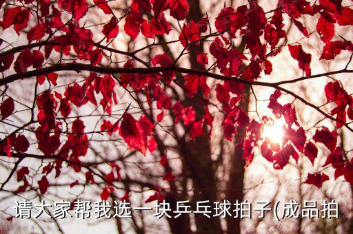 請大家?guī)臀疫x一塊乒乓球拍子(成品拍