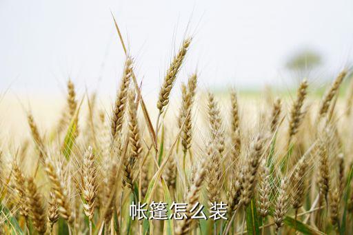  帳篷怎么裝