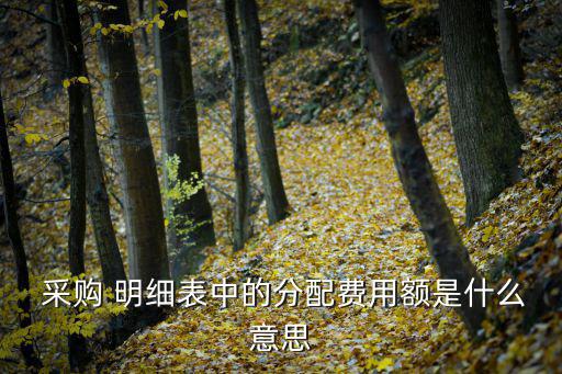 采購清單明細(xì)表,工程量清單報價表格