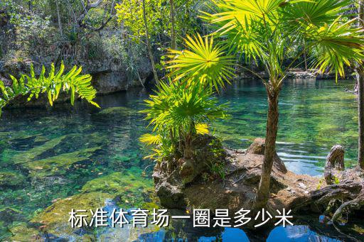 標(biāo)準(zhǔn)體育場一圈是多少米