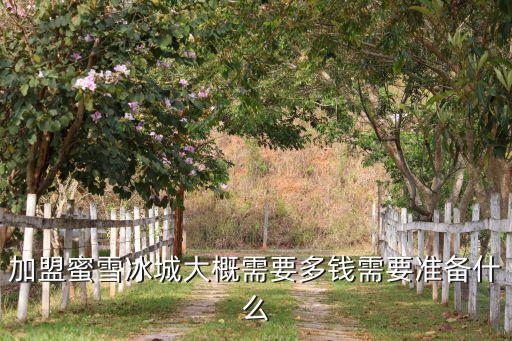 縣城加盟冰雪蜜城大概多少錢,來優(yōu)品零食店加盟費多少