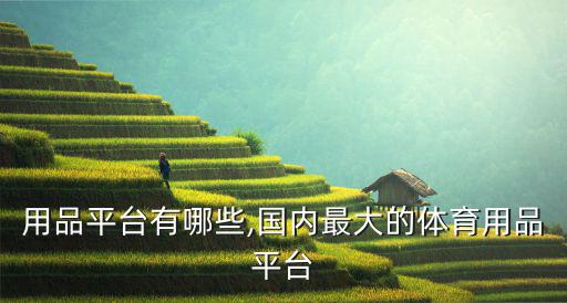 體育用品平臺有哪些,國內(nèi)最大的體育用品平臺