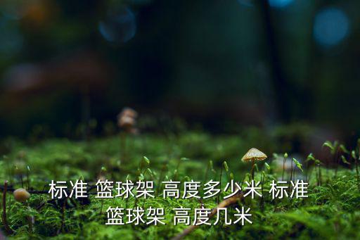 標準籃球架的高度,nba新籃球框高度參照nba標準