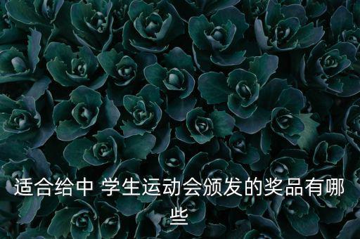 學(xué)生體育用品