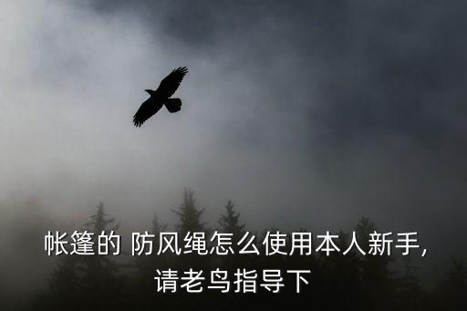  帳篷的 防風繩怎么使用本人新手,請老鳥指導下