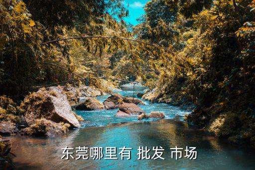 東莞體育器材批發(fā)市場在哪,烏魯木齊體育器材批發(fā)市場